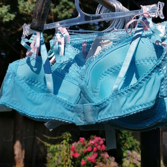 Rene Rofe Lace Blue Bra - Picture 13 of 15